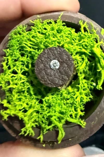 Foto von Aileen Fuest